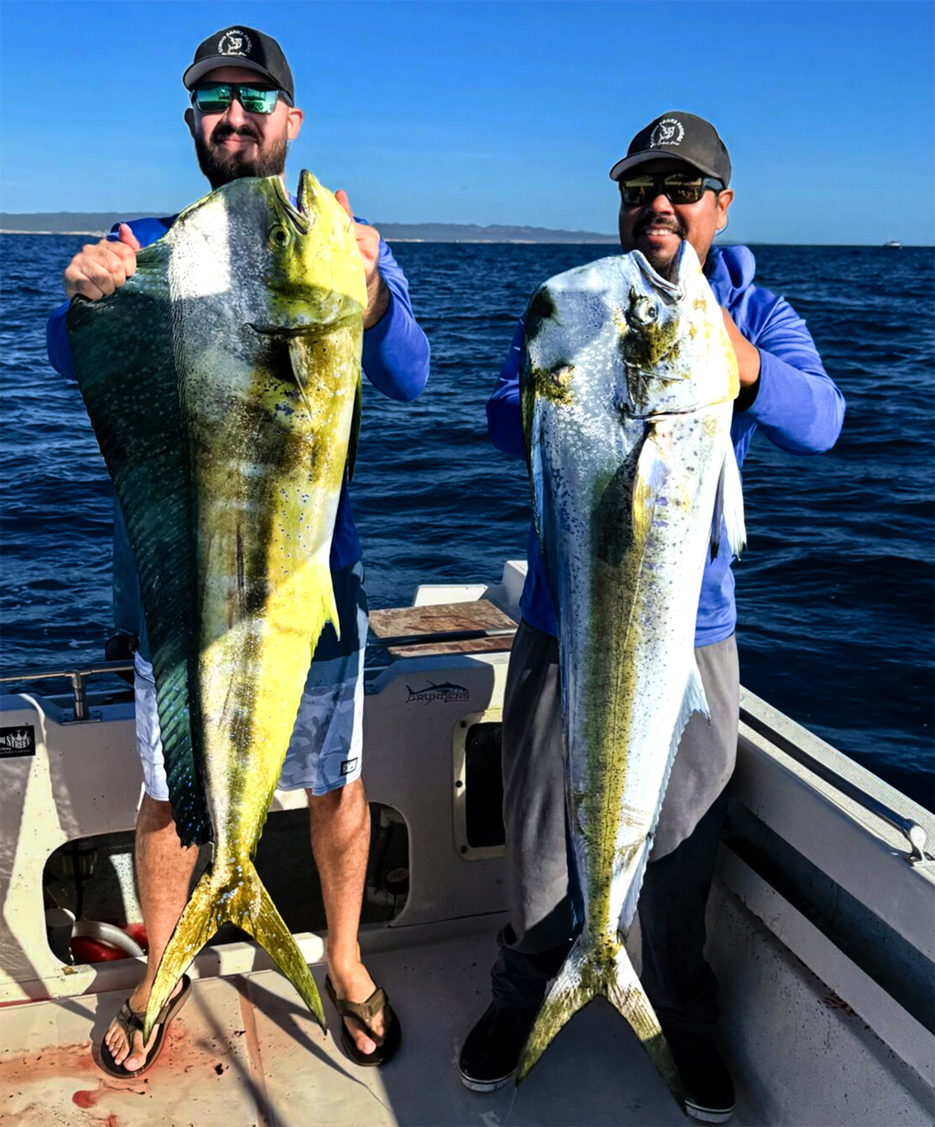 Gordo Banks Pangas dorado catch fishing baja
